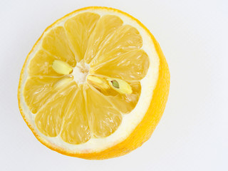 Withered and half cul lemon on white background