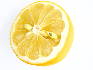 Withered and half cul lemon on white background