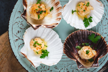Seared scallops shell with butter, garlic and parsley.