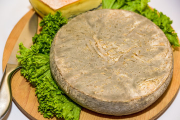 French cheese with salad