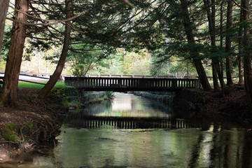 Bridge over the creek