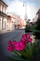 calle en irapuato