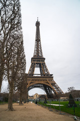 View at Eiffel Tower from the Champ de Mars (Field of Mars)
