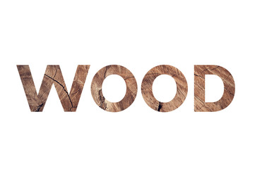 Wood word concept on white background