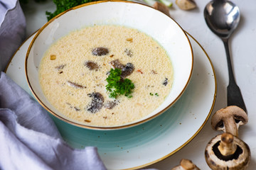 Mushroom soup with cream sour