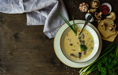 Mushroom soup with cream sour