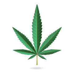 Green hemp, cannabis leaf icon isolated on white background, vector illustration in flat style