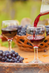 glass of red wine and grapes