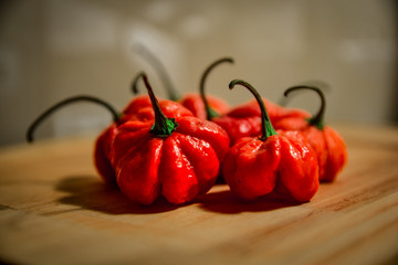 Carolina Reaper