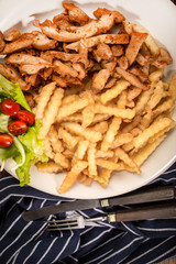 Greek gyros dis with fries and salad