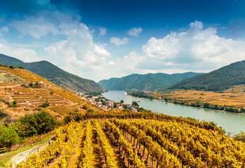 Autumn landscape of Wachau valley, Danube river, Austria.