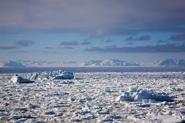 Fototapeta na wymiar Glacier with small iceberg at the Arctic North Pole, Svalbard. 