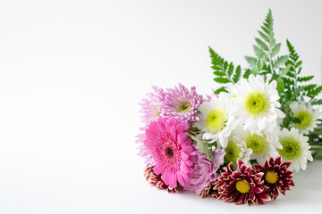 Chrysanthemum mums flower bouquet on white background copy space
