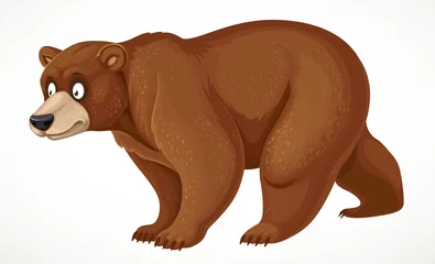 Poster Cute cartoon bear stands on four legs isolated on white background