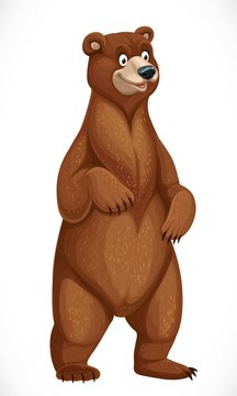 The 30+ Best Bear Anime Characters-demhanvico.com.vn