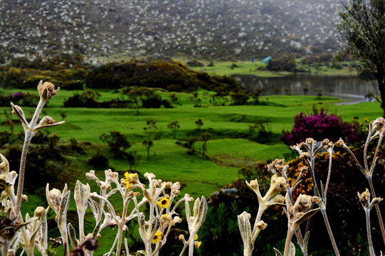 Paisaje