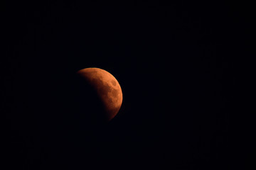 red moon © Maciej