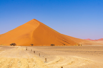 Fototapeta na wymiar front of sand dune in Sossusvlei Namib Naukluft National Park Namibia