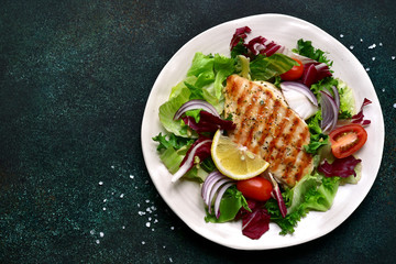Grilled chicken or turkey breast with fresh vegetable salad.Top view with copy space.