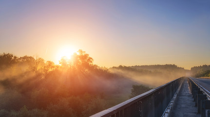 Rays of the sun over the trees in the fog