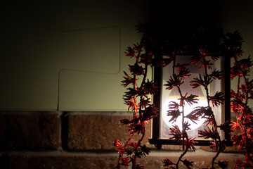 Wall mounted square lamp with decorative shiny branches