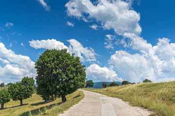 Summer Landscape of Ograzhden Mountain, Blagoevgrad Region, Bulgaria