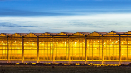 Illuminated industrial greenhouse
