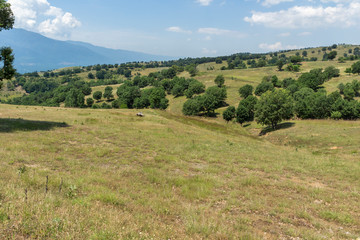 Obraz premium Summer Landscape of Ograzhden Mountain, Blagoevgrad Region, Bulgaria