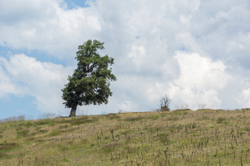 Obraz premium Summer Landscape of Ograzhden Mountain, Blagoevgrad Region, Bulgaria
