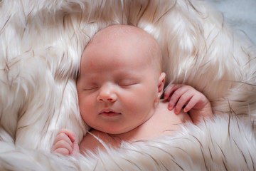 Newborn baby portrait