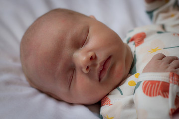 Newborn baby portrait