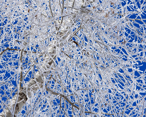 Colorful Colorado Scenic Landscape Beauty