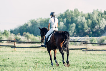 woman jockey riding a horse in summer