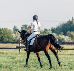 woman jockey riding a horse in summer