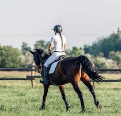 Fototapete Reiten woman jockey riding a horse in summer