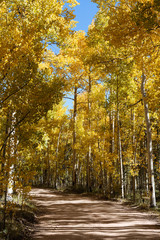 Colorful Colorado Scenic Landscape Beauty