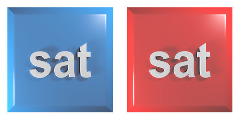 Blue and red couple of square push buttons SATURDAY - 3D rendering illustration