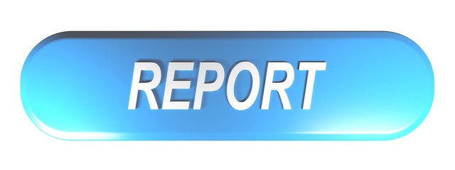 Blue rounded rectangle push button REPORT - 3D rendering