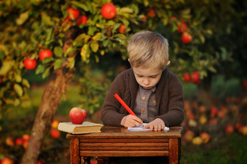 Boy, 4 years old, in an apple orchard. Natural background with red apples. Autumn child's play in fruit garden. Carefree childhood. Stylish retro photos.