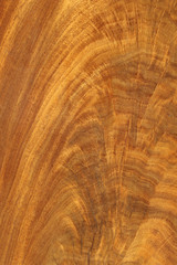 wooden texture may used as background;
