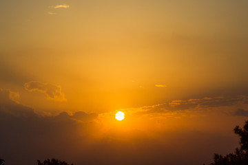 Mellow Golds of Winter Skies: A Serene Woodland Sunrise in Cyprus Wallpaper