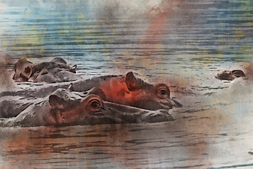 Fototapeta premium Close hippo or Hippopotamus amphibius in watercolor