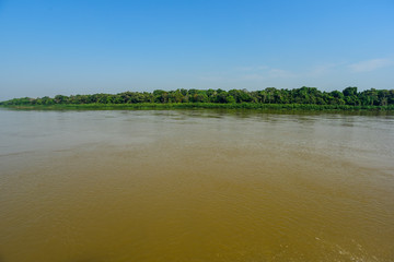 Pantanal ecosystem, Mato Grosso, Brazil