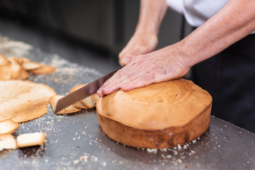 pastry chef cutting the sponge cake on layers. Cake production process .