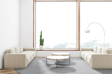White living room with two sofas