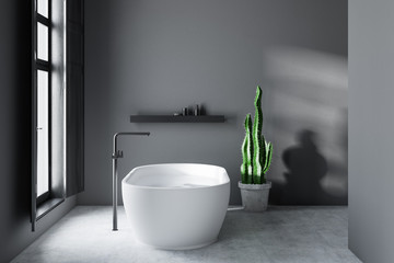 Obraz na płótnie Canvas Gray bathroom with tub