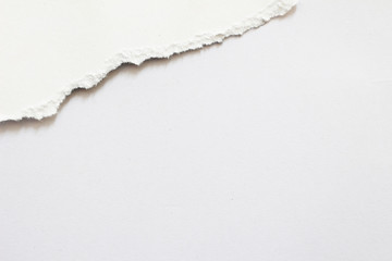 Torn paper background, empty space for text.