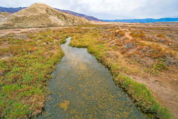 Spring Fed Stream in a Desert Landscape