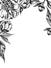 Vector floral frame with peonies and leaves. Linear  graphics, sketch, ink drawing, imitation of engraving.  Hand drawn plants,  line-art on white background. Retro, vintage flowers. © MariArt