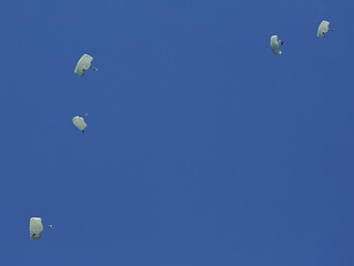 Paratroopers